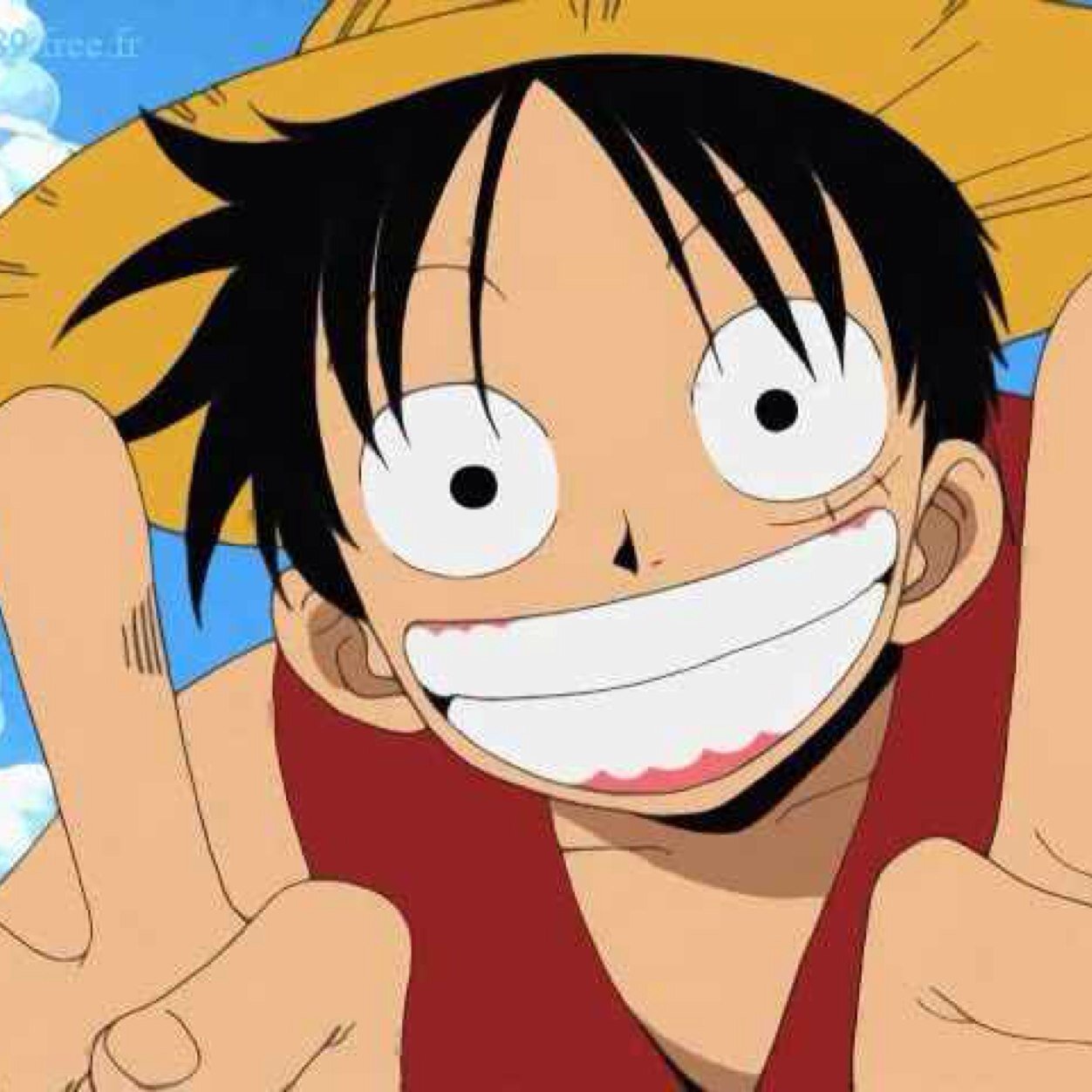 Im going to be king of the pirates.