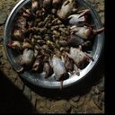 الهواوي (@11Szz) Twitter