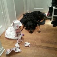 Marcus (@marcuslexi) 's Twitter Profile