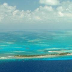 carlykennedy18's profile picture. 