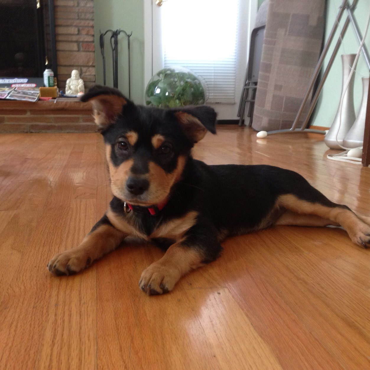 hehevicky's profile picture. 