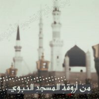تلاوات المسجد النبوي (@taiba__1435) 's Twitter Profile