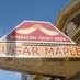 Sugar Maple (@thesugarmaple) Twitter profile photo