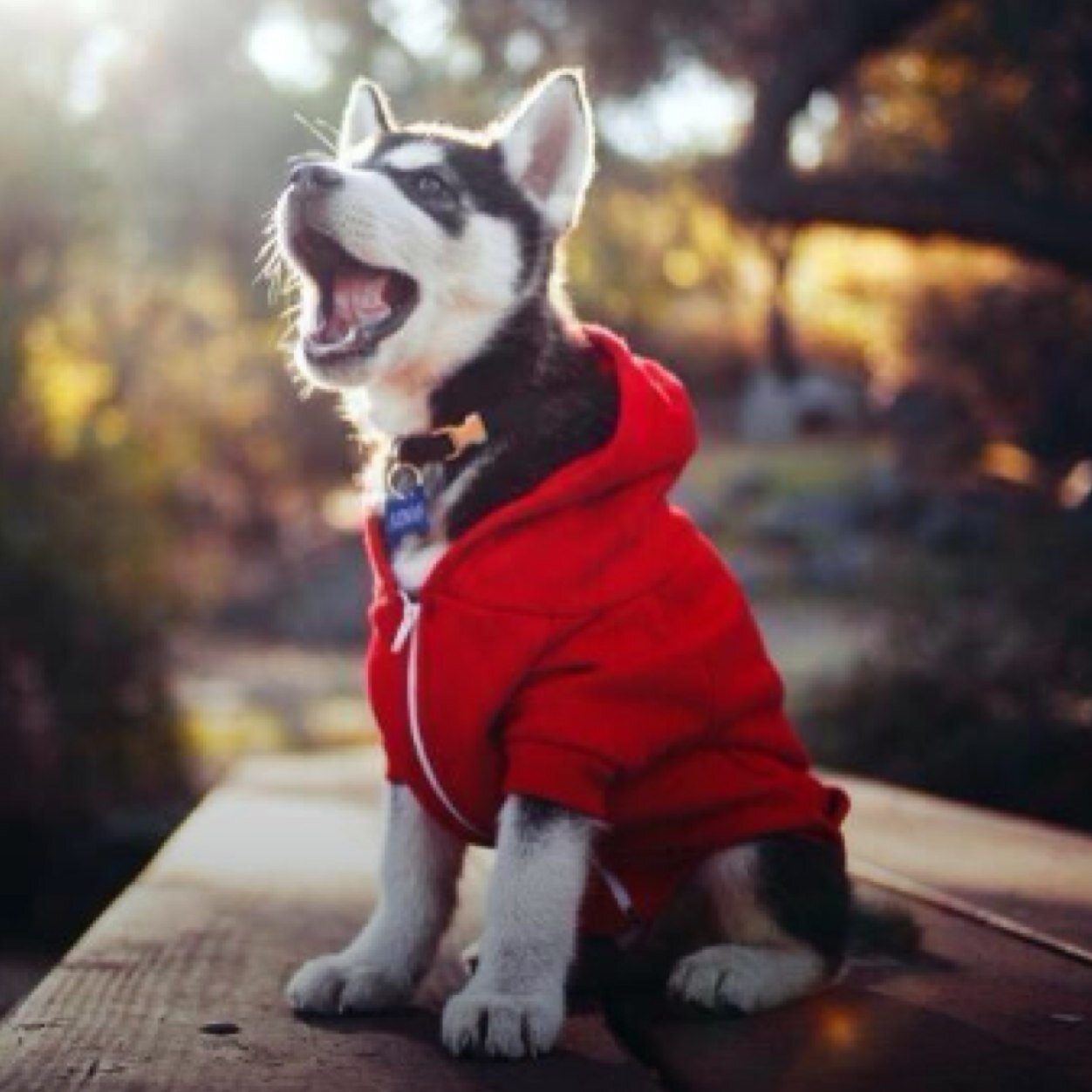 bradyhinkle_14's profile picture. Known to get a little weird from time to time