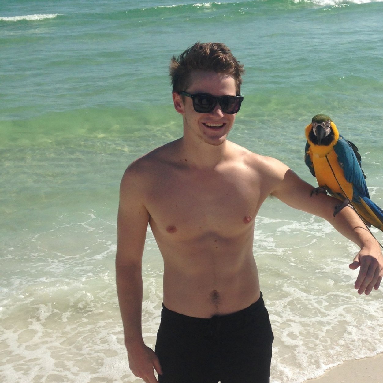 nickpaigedoit Profile Picture