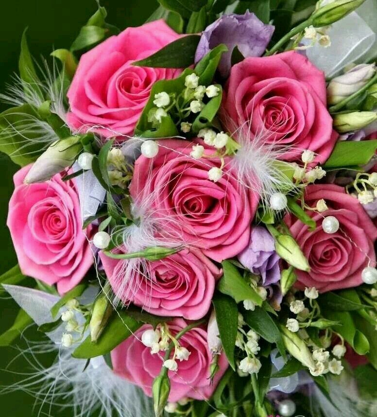 ShannonMcGuir15's profile picture. Wife, Mom, Pro-Life, Pro-Traditional Marriage (genesis 2:24),Ordained Minister,lovelifelaugh, Goal-Setter,dreamachiever