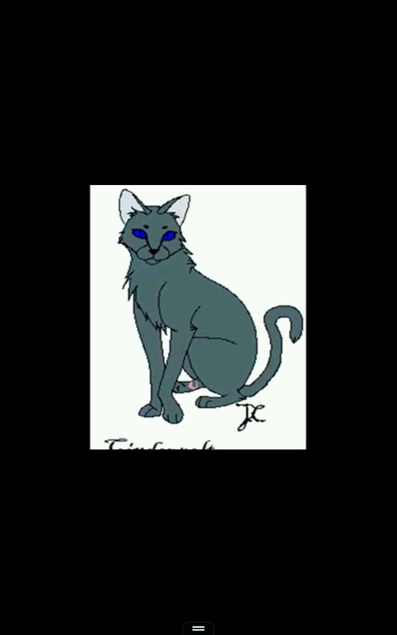 a gray She-Cat... (Clan: None) (Mate: None) (Theme: FUnHouSe) I can take care of myself... Get in my way you will die or be in slavery #Single #Evil