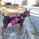 Lavon Kelley - @Kelleybrother - Twitter