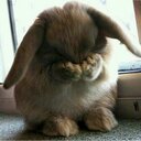 . - @AddisonBell1 - Twitter