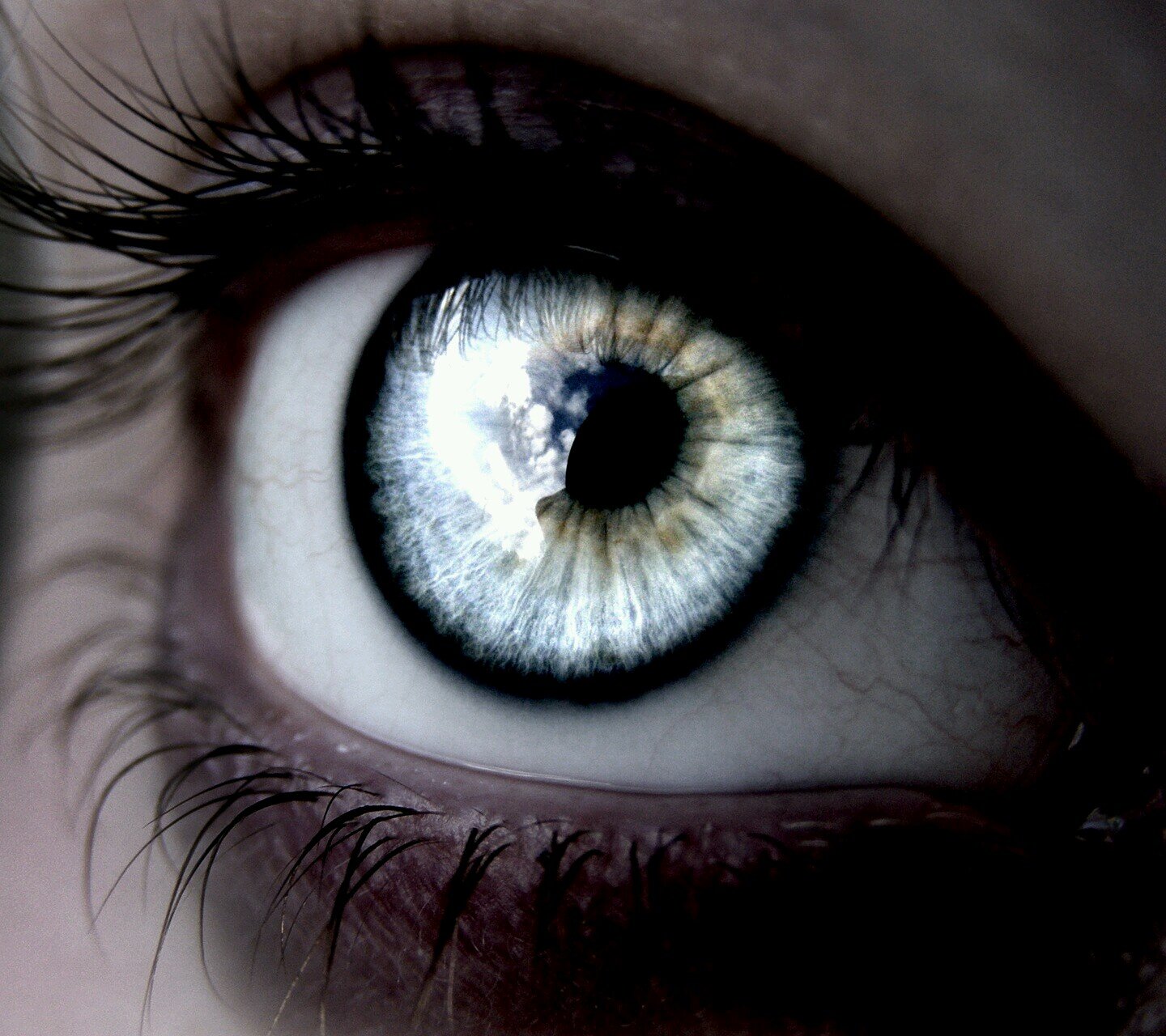 SanctumDe's profile picture. Life...DomV, Child Abuse, Rape Victim Survivor.  Now fighting Lung cancer and CLL, - Lymphoma.