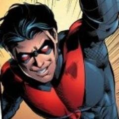 High flyer and martial arts master, I save crime in Gotham and the day.  Open RP