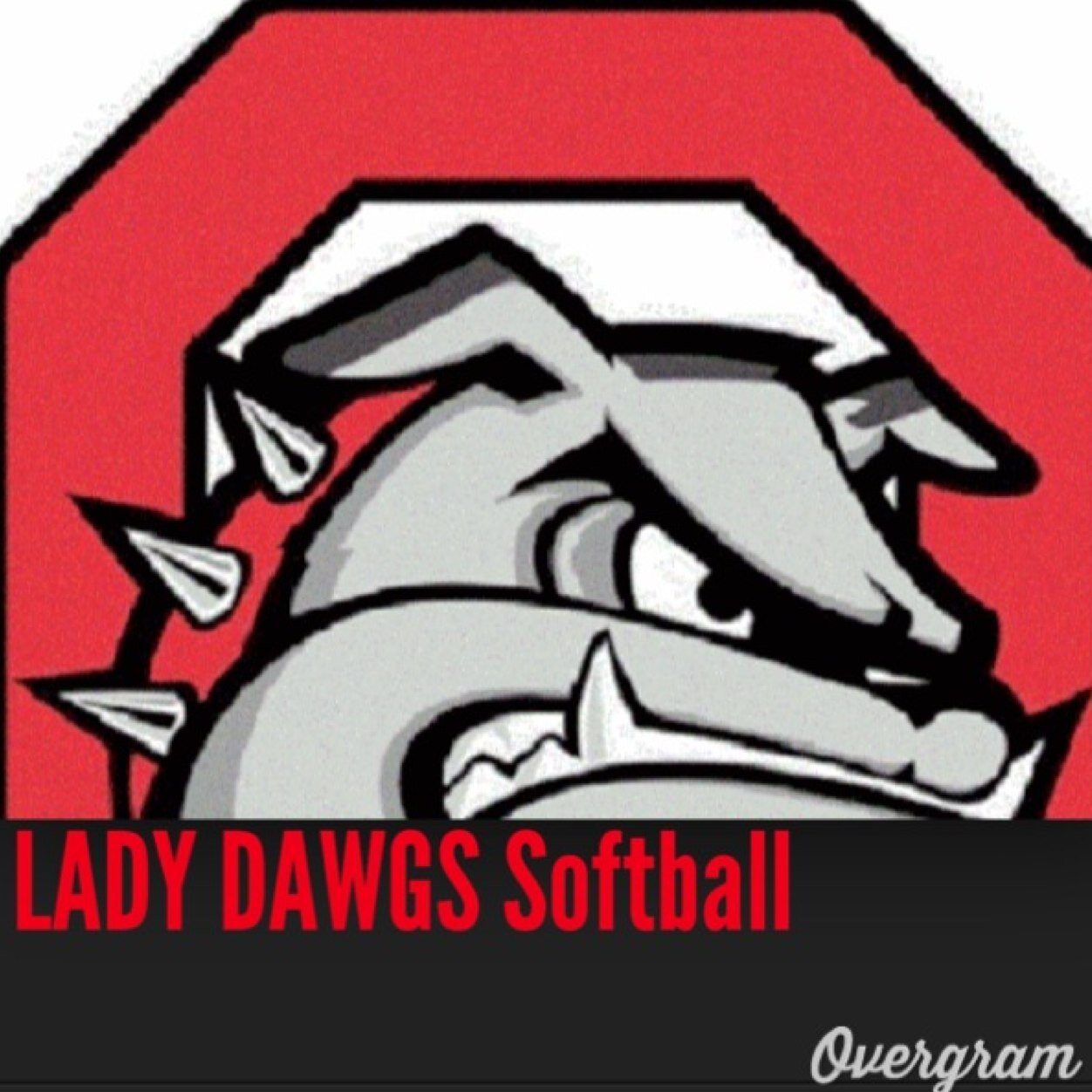 Opelika High School Lady Dawgs Softball                       
                           Be an ⚓️!