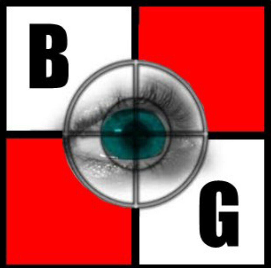 Briggs Investigations Group