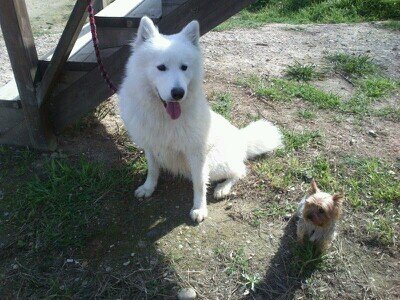 simondiego12's profile picture. 