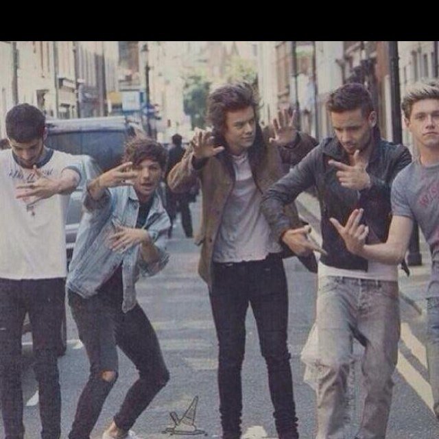 Directioner :) louie,liam,niall,harry and zayn- my insperations