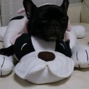 SHANE☆桃☆ (@11momo29) Twitter