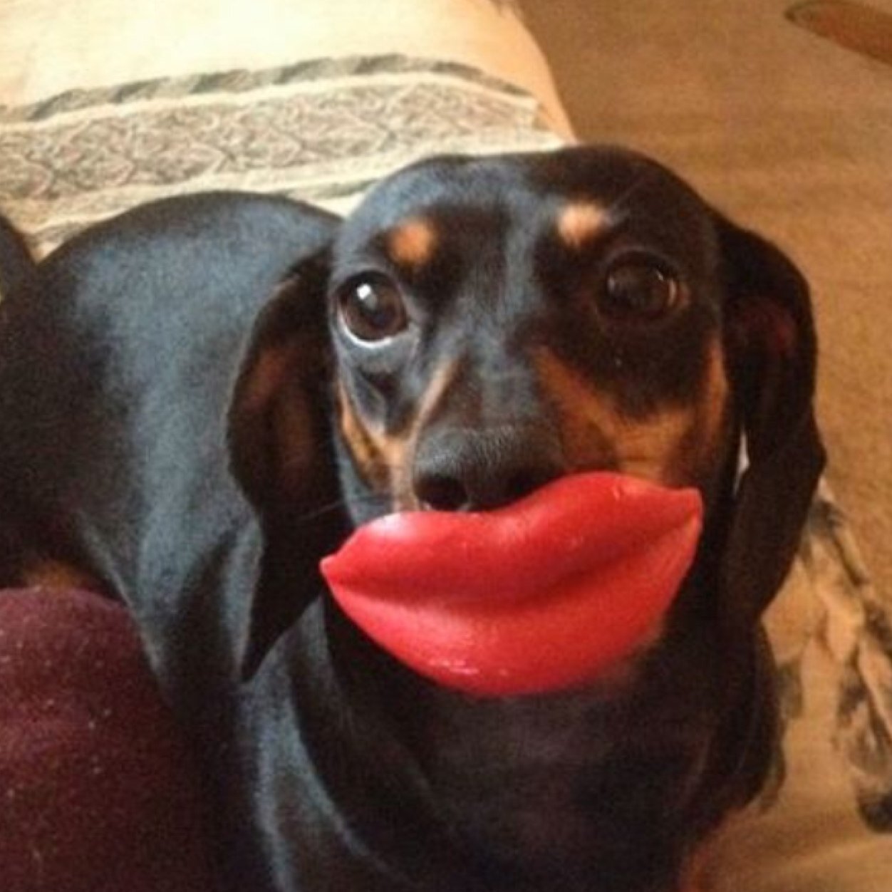 pam_schexnider's profile picture. 