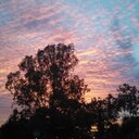 Nathaniel Dion - @redbeards_ghost - Twitter