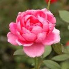 TIUrebekah's profile picture. working on my fitness along with my nursing degree. dating the most wonderful man for 4.5 years.