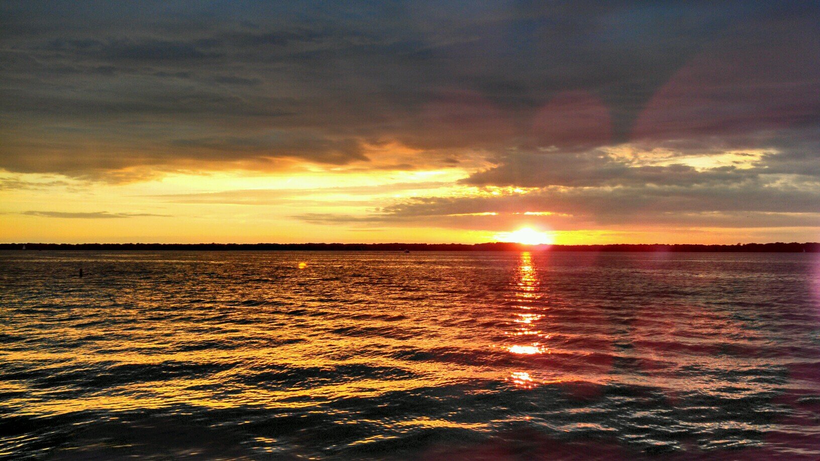 mjfantoni's profile picture. 