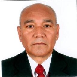 Ingeniero Electrónico,Profesor de la Facultad de Ingenieria Electrónica UNMSM