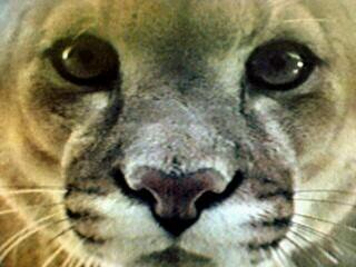 cyrusbearden's profile picture. 