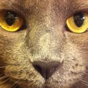 Dan Kline - @dnlkline - Twitter