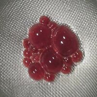 Liquidchef (@alchemistdrinks) 's Twitter Profile