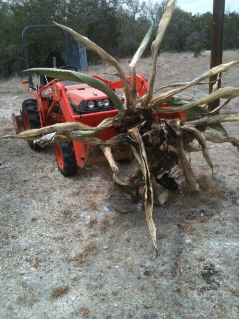 RobertOkaji's profile picture. Wordherd, poet, editor, cook, beer lover and washer of dishes.