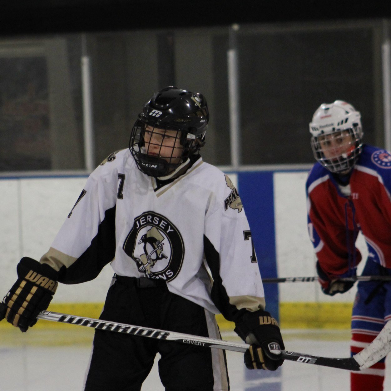 A hockey player must have the wisdom of a chess player, accuracy of a sniper, and rhythm of a musician. -Anatoli Tarasov