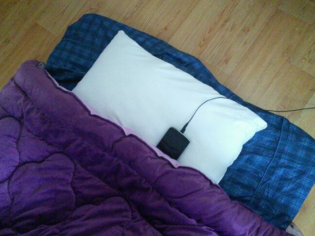 molr3s's profile picture. 