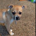 daniel lazar - @56Lazar - Twitter