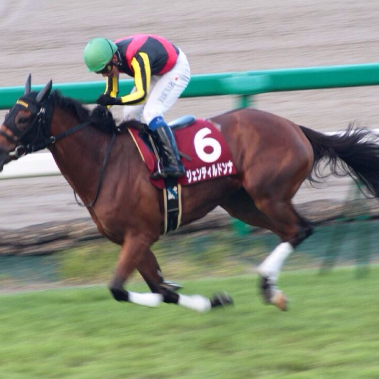 競馬好きはどんどんフォローして下さい！
