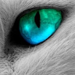 alexis5912's profile picture. 