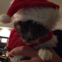 CHARLES TREMBLAY - @TOUCHDOWNCHARLY - Twitter