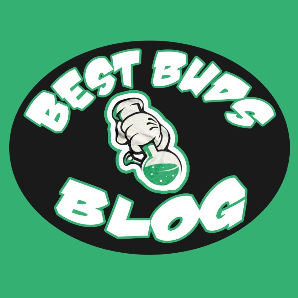The true stoner-stoner entertainment blog. Reviews, News, High Rants...what else could you want? Get stoned with us at http://t.co/QcH5kOFgKs