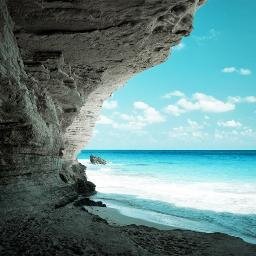 RenataO90485960's profile picture. 