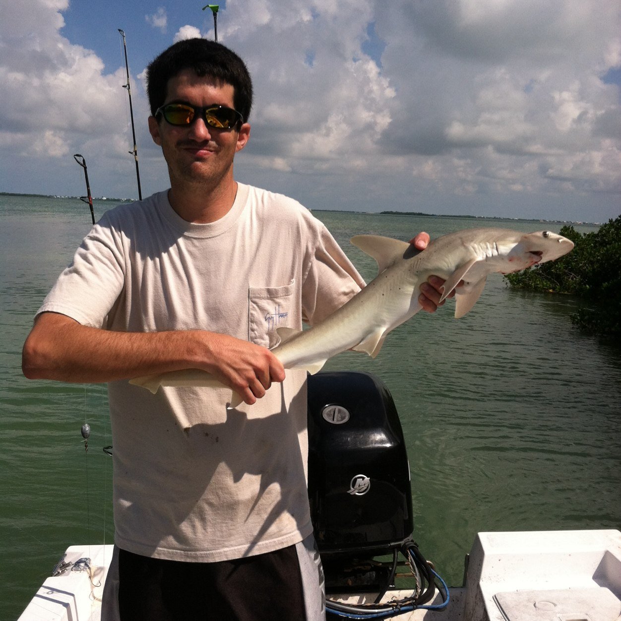 Dms3829's profile picture. #GatorGang