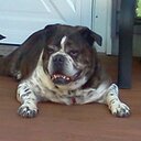 michael serfass - @gumbymustang - Twitter