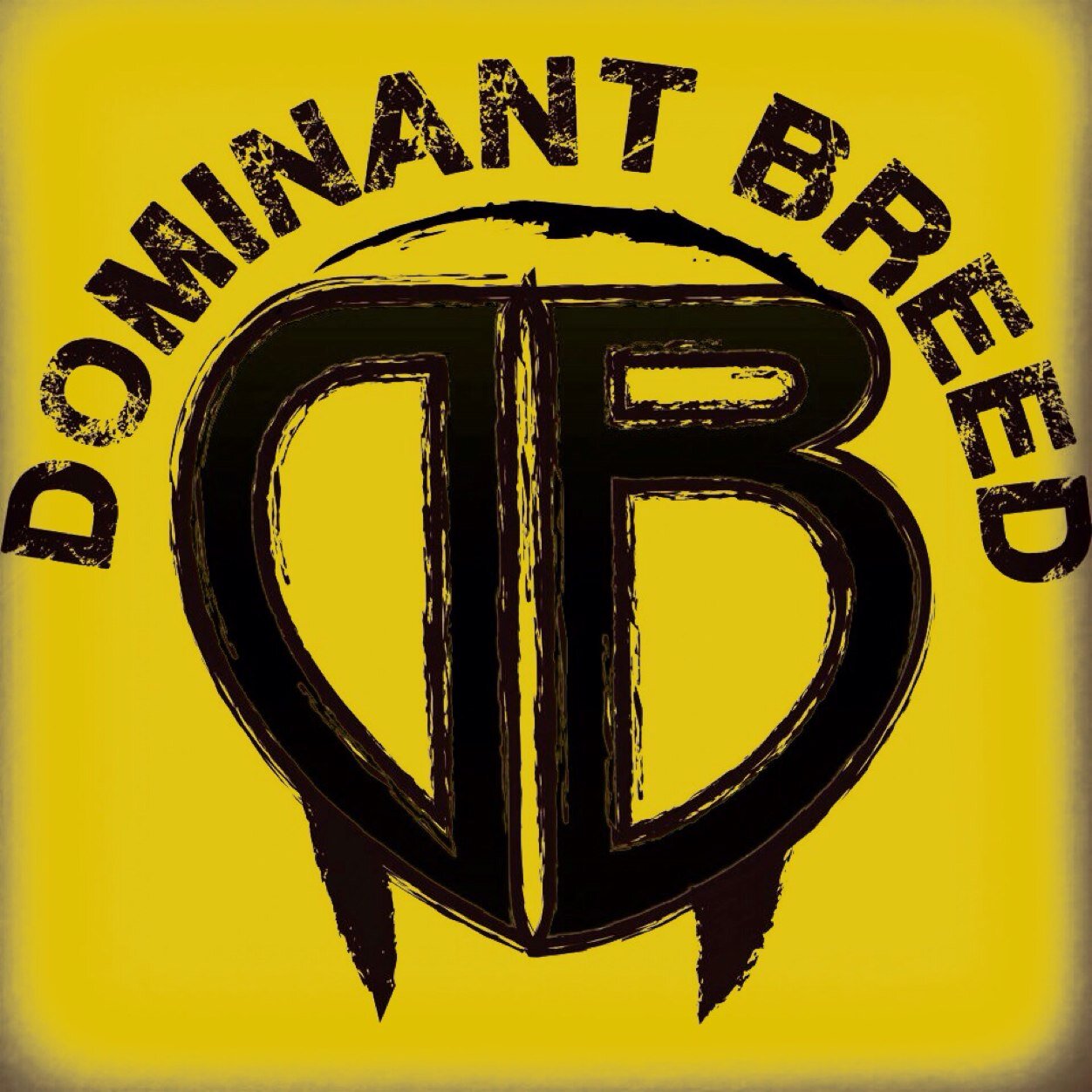 Boxing club and Competition team created by Chad Bollinger, active in Boxing, MMA and Jiu Jitsu competitions. (951) 567-6629 for questions.