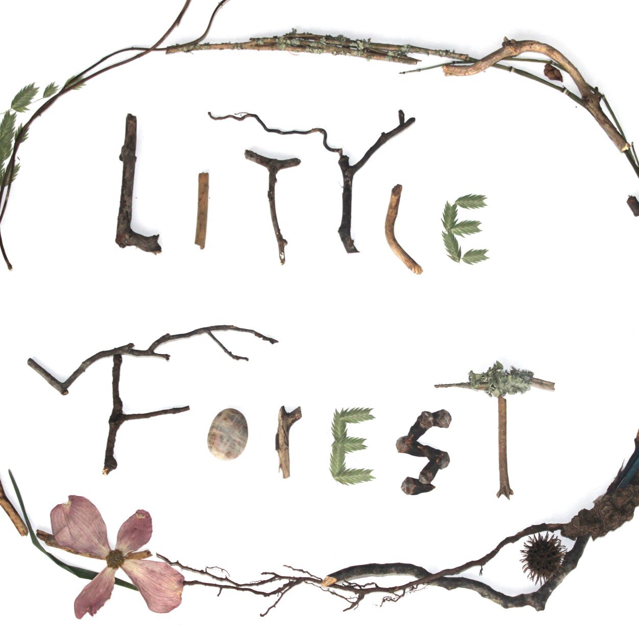Urban forest dweller. designer. gardener. artist. This is not the Twitter account for Continental Bakery