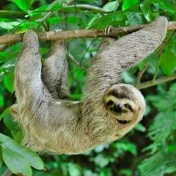 http://t.co/teGNaWp6BL - 
 A Travel Resource to help you explore the world