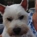Sandra Scott (@sandra_scott1) Twitter profile photo Sandra Scott (@sandra_scott1) Twitter profile photo