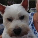 Sandra Scott - @sandra_scott1 - Twitter