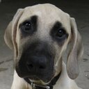 Joseph Wyble - @JosephWyble - Twitter