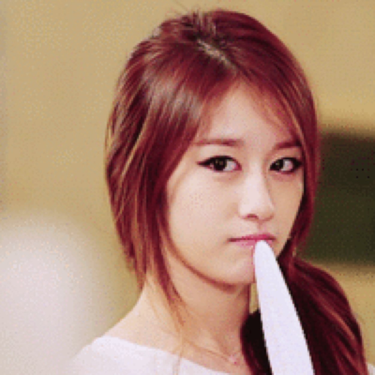 pjy hiatus (@dinoyeonsocks) Twitter 