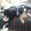 Mona Shaw - @KedoCode - Twitter