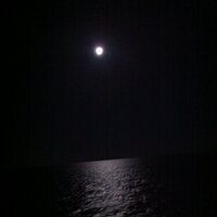 feusofree (@feusofree) 's Twitter Profile