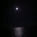 feusofree (@feusofree) Twitter profile photo