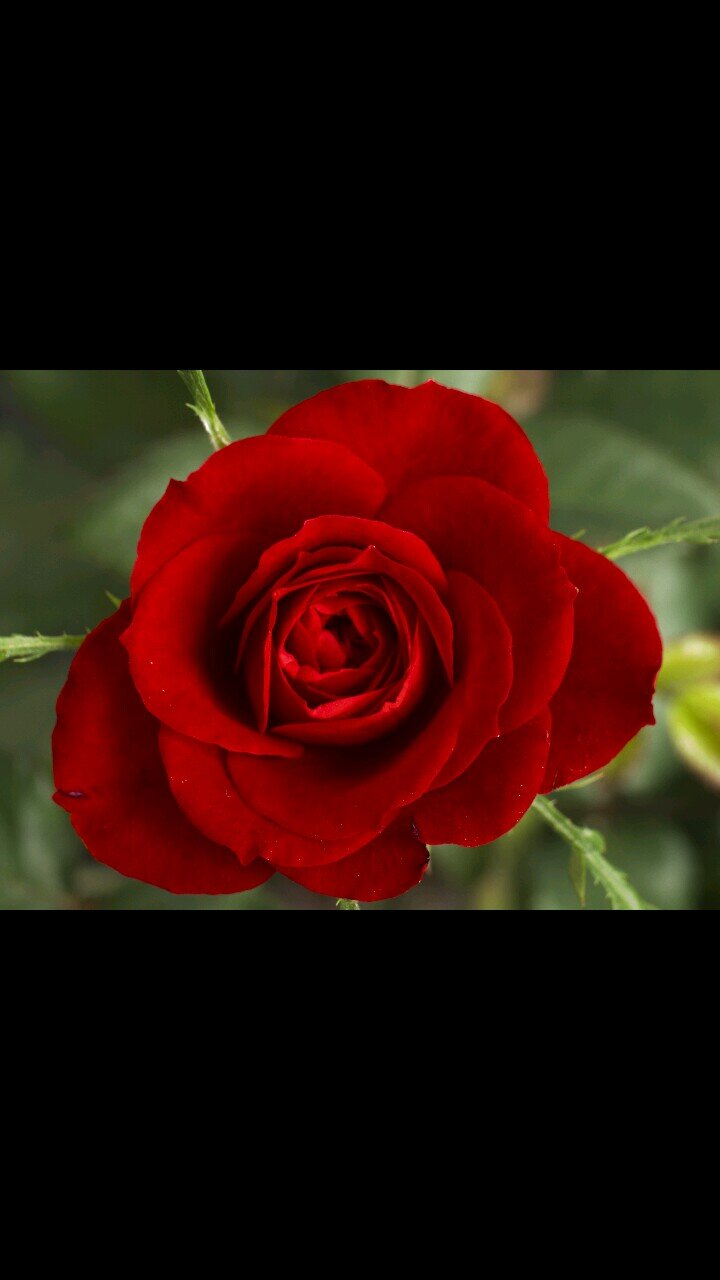 LifePros17's profile picture. follow me:) giving life advice. goal 100k!  I give shout outs. Smile life is to short to be sad.